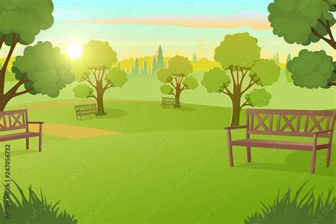 sunny day  city park  green grass  meadow  benches  trees cartoon vector