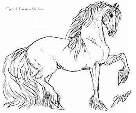 images  sketches  pinterest arabian horses pegasus