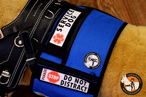 service dog velcro patch bold lead designs