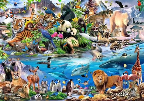 papierbehang fotobehang dieren van de wereld xxl kinderkamer