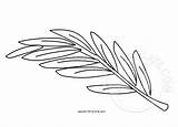Branch Coloring Eastertemplate sketch template