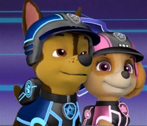 Chase And Skye Skye And Chase Paw Patrol Foto