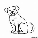 Chien Labrador Chiot Reproduire Welpe Hund Cucciolo Cachorro Welpen Russel Chiens Cane Ausmalbild Imprimé Coloriages sketch template