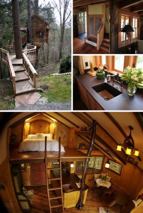 livable treehouse tree house cabins pinterest