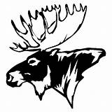 Moose Head Drawing Silhouette Hunting Elk Deer Antlers Decal Pattern Popular Stickers Getdrawings Clipartmag Sticker Coloring sketch template