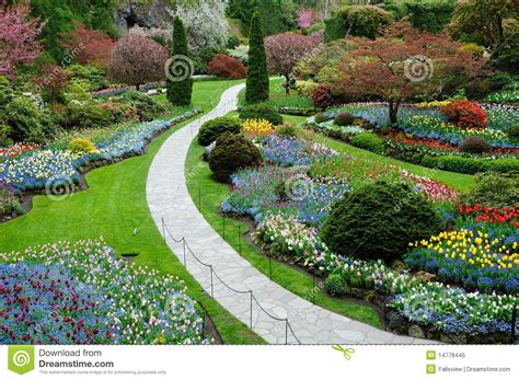 het modelleren van de tuin stock afbeelding image  aantrekkelijkheid