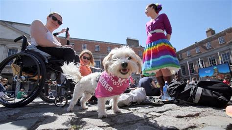 L Irlande Dit Oui Au Mariage Homosexuel Après Un Référendum