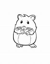 Hamster Coloring Guinea Pig Pages Cute Pigs Gerbil Baby Print Getdrawings Drawing Color Narwhal Getcolorings Anime Sandy Record Christmas Size sketch template