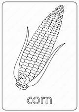 Maize Coloringoo Printables sketch template