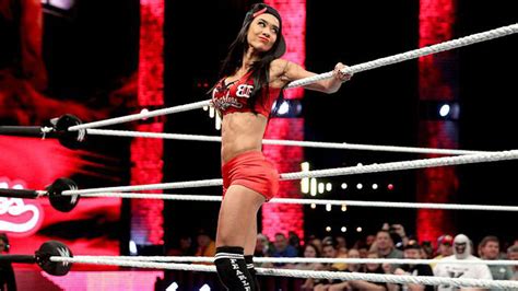 Pic Aj Lee As Nikki Bella Complete With Stuffed Top