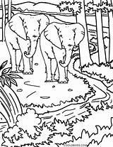 Natur Coloriage Mewarnai Natureza Colorir Cool2bkids Ausmalbilder Pemandangan Kumpulan Marimewarnai Children sketch template