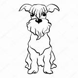 Schnauzer Miniature Cachorro sketch template