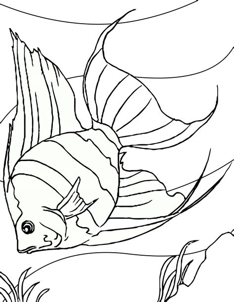 fish coloring sheets  kids easy  draw  color fish coloring