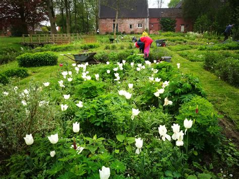 kloosterburen waar ze het platteland leefbaar houden door  de middeleeuwen te duiken de