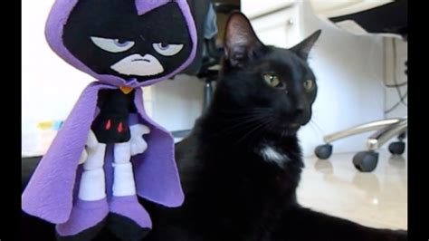 Teen Titans Go Raven And A Black Cat Rude Youtube