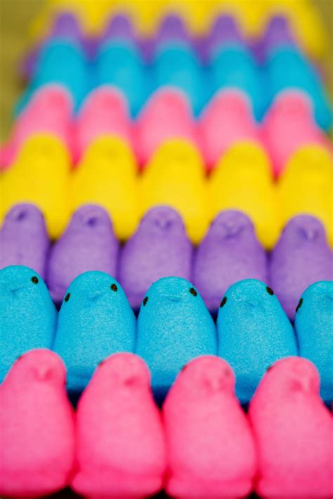 Why You Should Never Eats Peeps 11 Reasons Peeps Are The Worst Candy