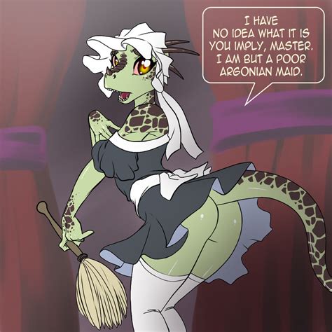 skyrim the elder scrolls the lusty argonian maid cosplay games funny pictures