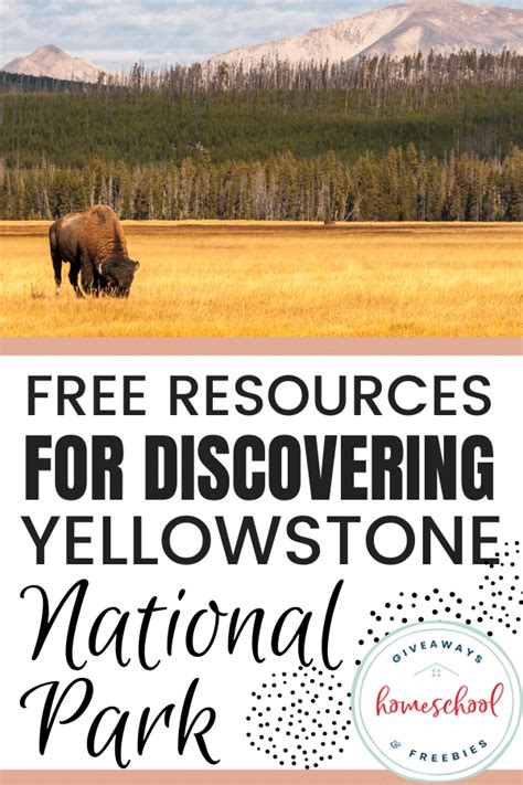 yellowstone national park fun facts  kids educational resources national parks