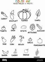 Fruits Colorier Légumes Legumes Alamyimages sketch template