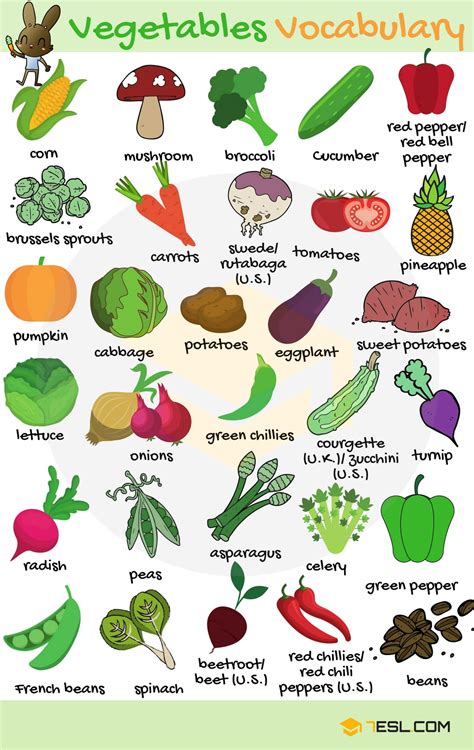 fruits  vegetables list english names  pictures esl