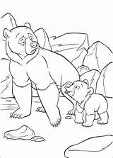 Brother Bear Fun Kids Coloring sketch template