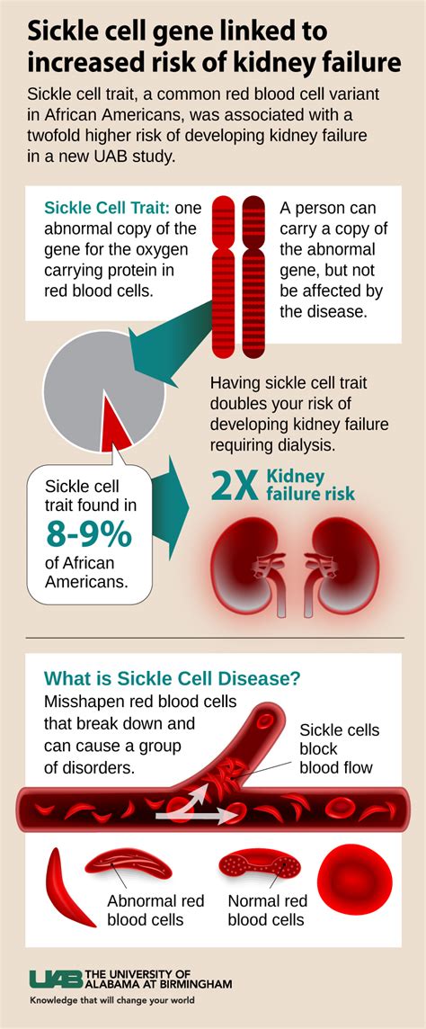 is sickle cell anemia a sex linked trait naked photo