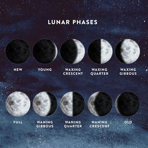 lunar phase poster celebrate important moments   life   sundays current moon