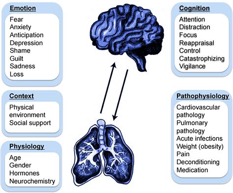 understanding dyspnea   complex individual experience maturitas