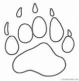 Paw Bear Print Coloring Grizzly Coloring4free Related Posts sketch template