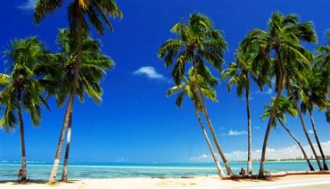 las 10 mejores playas de brasil taringa