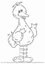 Bird Big Sesame Street Draw Drawing Step Coloring Pages Drawings Learn Colouring Cartoon Drawingtutorials101 Monster Getdrawings Sheets Tutorials Kids Choose sketch template