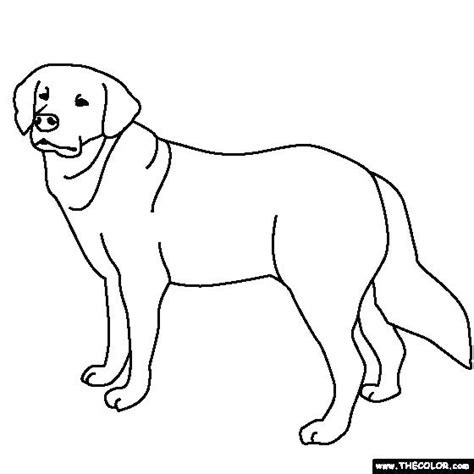 lab dog coloring pages  getdrawings