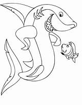 Shark Coloring Pages Great Printable Kids sketch template