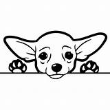 Chihuahua Peeking Hound Pet Silueta Cricut Siluetas Cachorro Expertoutfit Adesivos Idéer Gato Perritos Desenhos Acessar No1dogspot sketch template