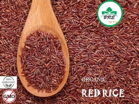 red rice exporters  kolkata west bengal india  bengal royal exporters id