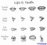 Lips Drawing Draw Realistic Nose Step Pencil Sketch Teeth Drawings Mouth Sketches Tips Sketching Smile Easy Face Lip Animation Human sketch template