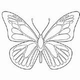 Butterfly Morpho Blue Coloring Pages Ulysses Printable Drawing Outline Blank Color Para Template Mariposas Caladas Butterflies Kids Designlooter Print Getcolorings sketch template