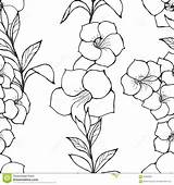 Alamanda Clipart Clipground Photography Stock sketch template
