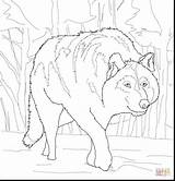 Wolf Games Coloring Drawings Getdrawings Drawing sketch template