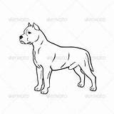 Amstaff Staffordshire Terrier sketch template