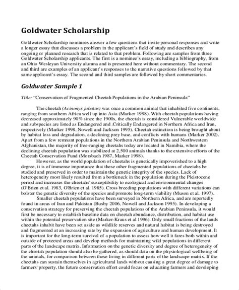 scholarship application essay format scholarship application essay