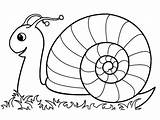 Coloring Snail Sheet Drawing Pages Slow Tiny Animal sketch template