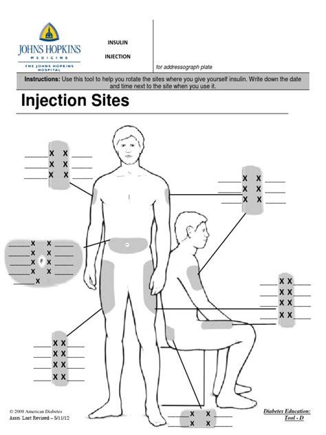 insulin injection sites diagram printable