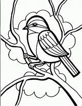 Coloring Bird Feeder Getdrawings sketch template