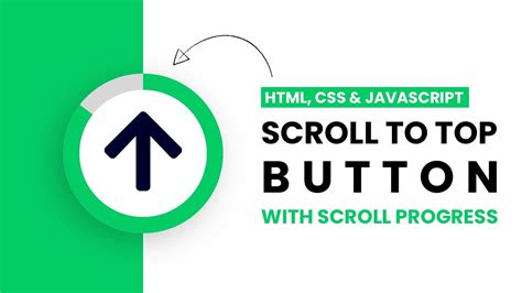 scroll  top button  scroll progress html css javascript