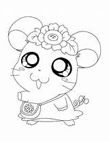 Kleurplaten Schattige Kleurplaat Hamtaro Dieren Coloring Diertjes Animaatjes Uitprinten Kleine Fanciful Panda Zoeken Schatige Tekeningen Leuke Downloaden Hamsters sketch template