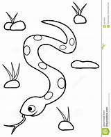 Snake Coloring Grass Cartoon Old Years Project Drawings 21kb 1055 1300px Stock sketch template
