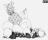 Fruits Varied Assortment sketch template