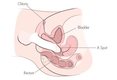 Vaginal Orgasms How To Experience Full Body Orgasmic Bliss