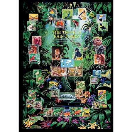 tropical rain forest educational chart walmartcom